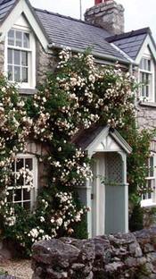 Storehouse Cottage Self Catering