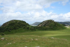 IMG_8923