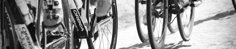 Reasons to Ride Your Bike Every Day